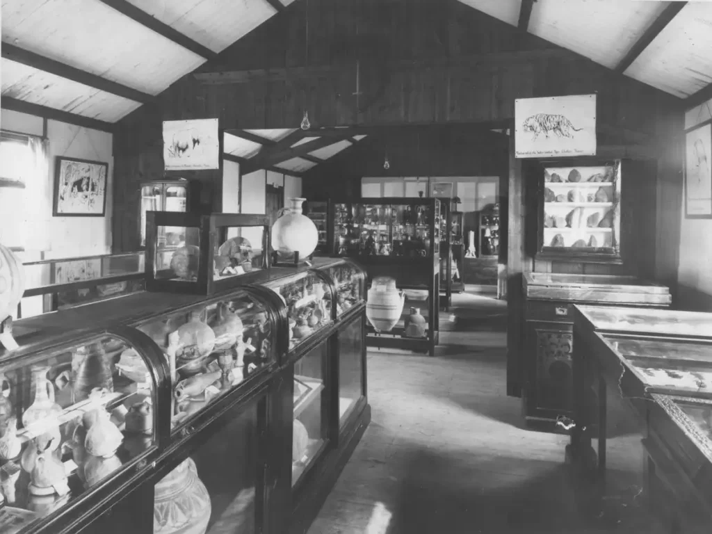 Historic black and white museum interior with display cabinets Archival photograph of glazed display cabinets holding pottery and artefacts in an early museum interior